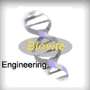 Biovite Engineering